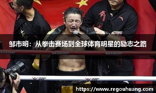 yy易游体育网址